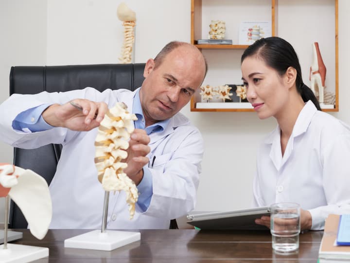 A chiropractor explaining a spine model to a colleague